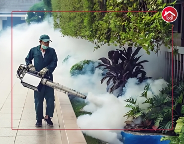 Commercial Wood Borer Control Services in Hyderabad near me