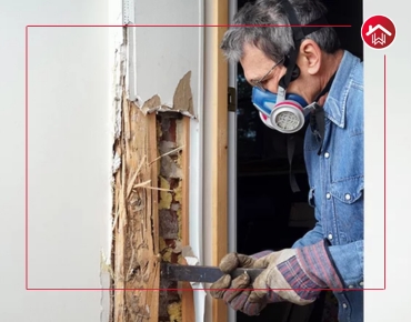 Top Termite control services