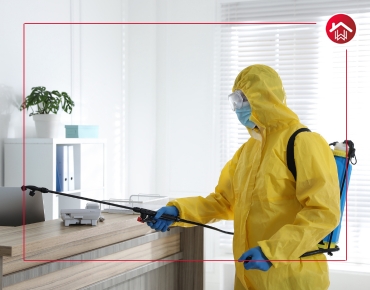 Pre and post construction termite treatment in Hyderabad