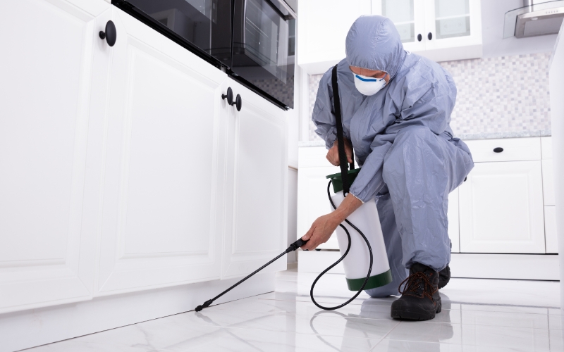 Best pest control services near me in Hyderabad